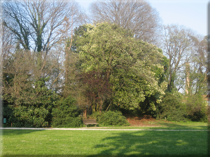 foto Parco Sebellin in Primavera